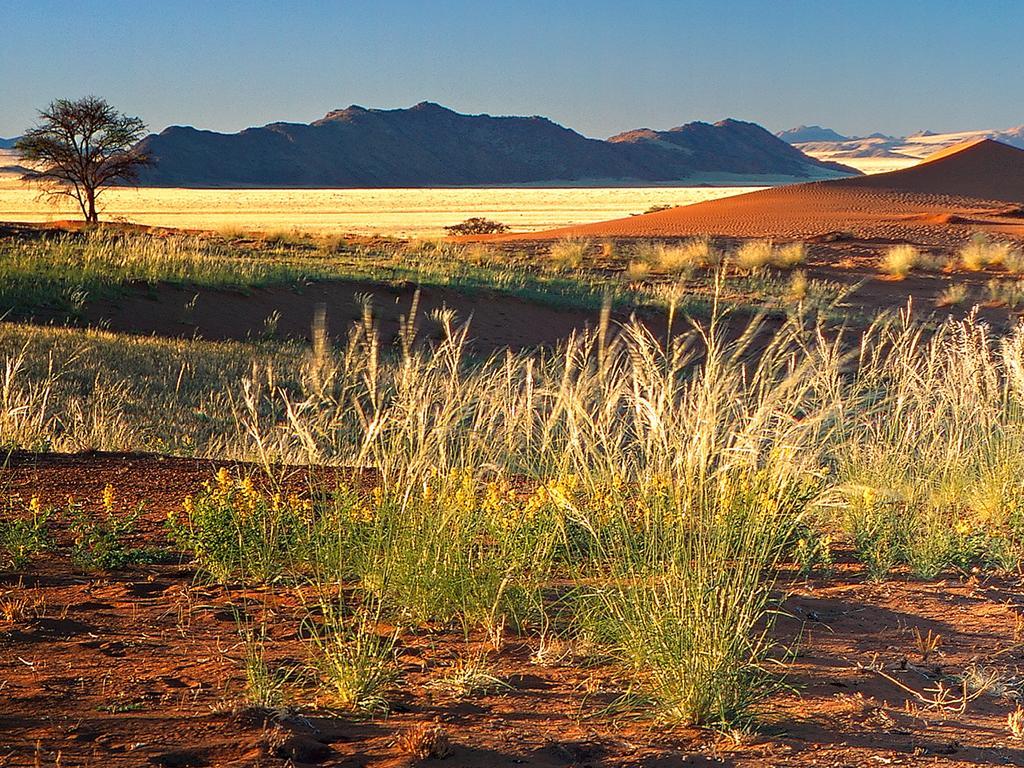 Gondwana Namib Desert Lodge Solitaire Kültér fotó